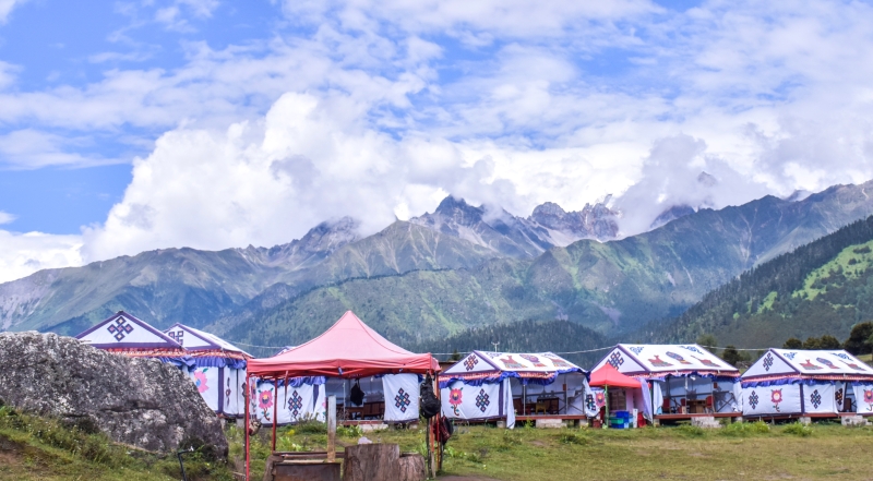 林芝鲁朗林海景区帐篷 张妙 摄