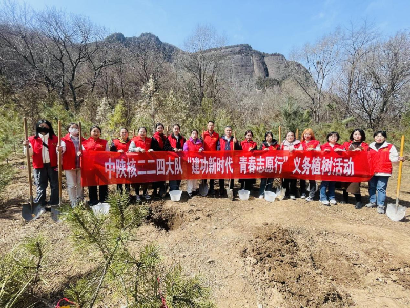 图片17