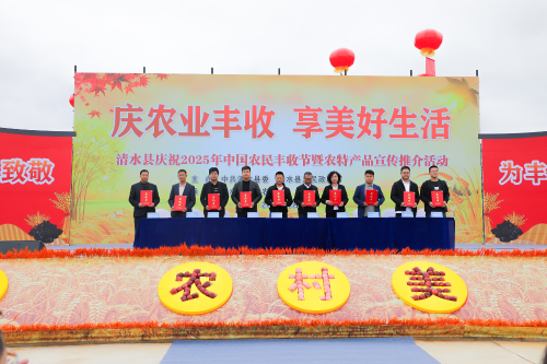 图片 4