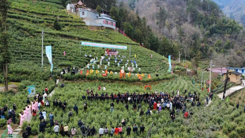 微信图片_20260326171824