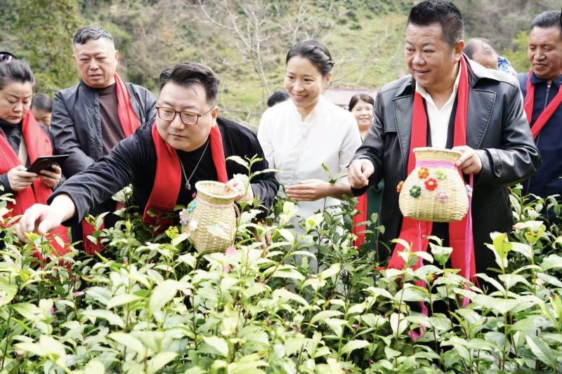 微信图片_20260326173152