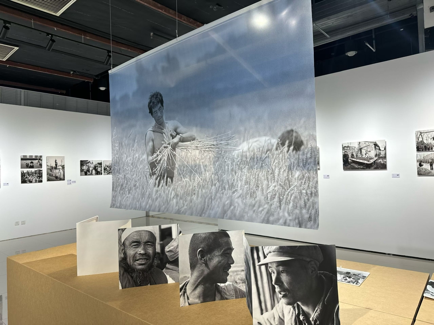 2  展厅中《麦客部分》_proc