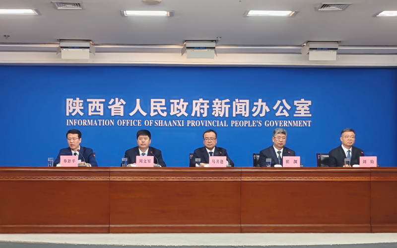 图片20