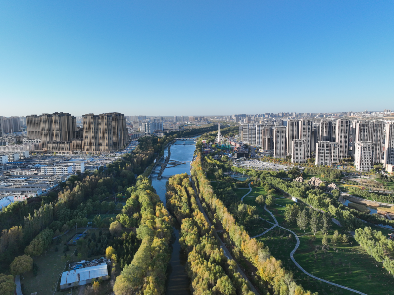 图片21