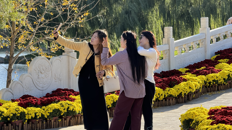 图片22