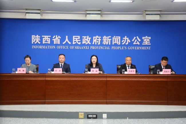 图片50 图片50