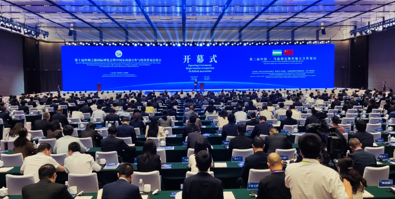 图片1 图片1