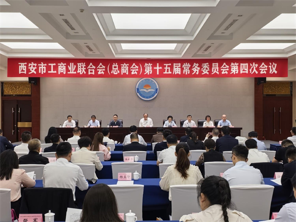 图片15