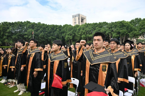 图片8