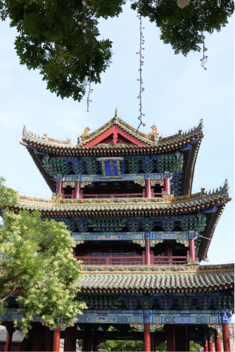 图片13 图片13