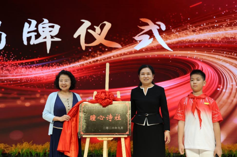 图片5